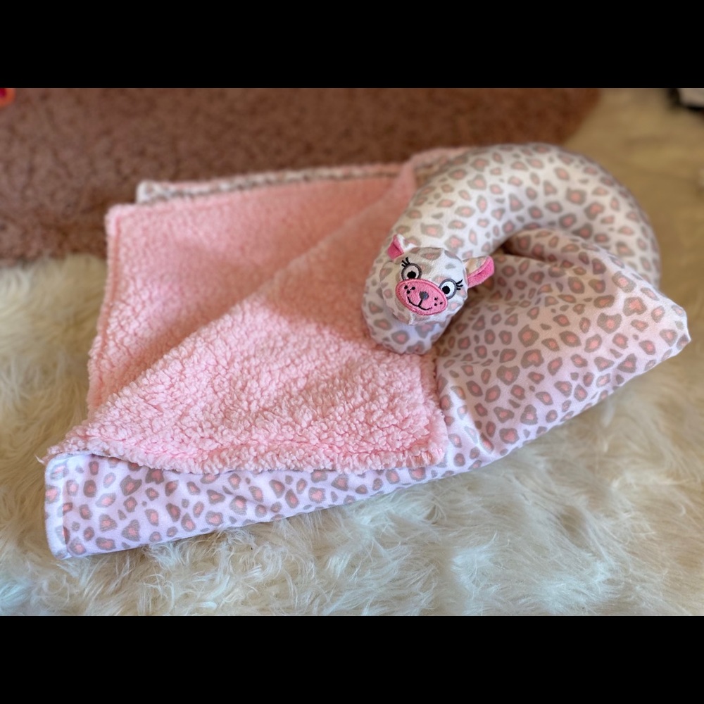 Baby blanket and pillow.